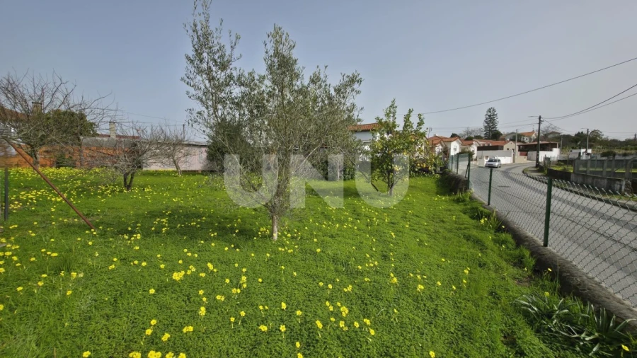 Moradia T3 para Venda em Ovar, São João, Arada e São Vicente de Pereira Jusã Foto 27