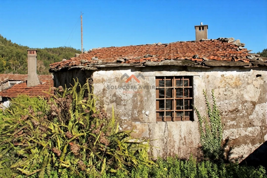 Moradia T1 para Venda em Talhadas Foto 1