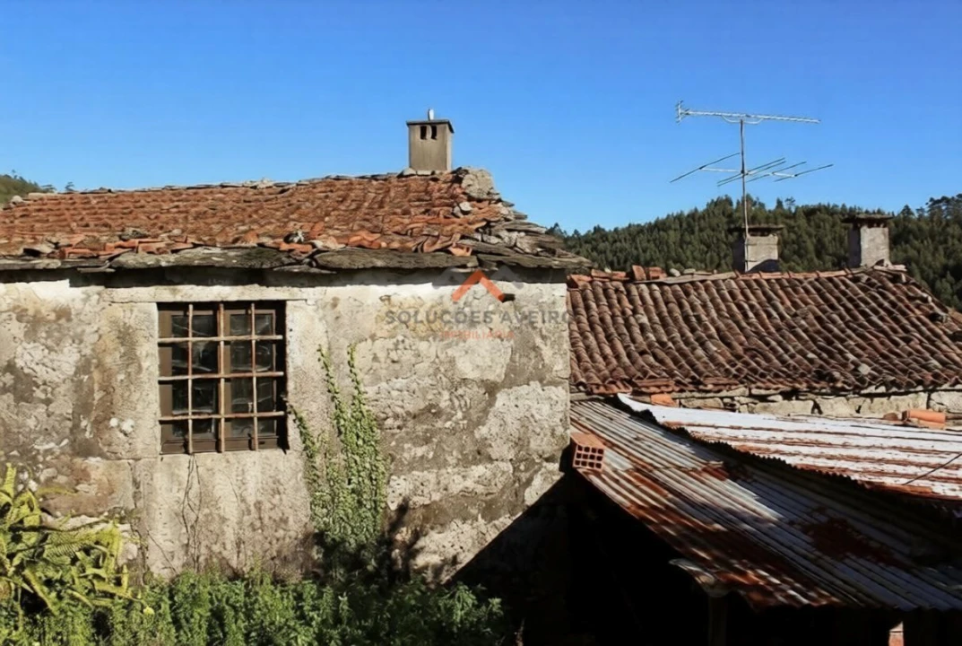 Moradia T1 para Venda em Talhadas Foto 4