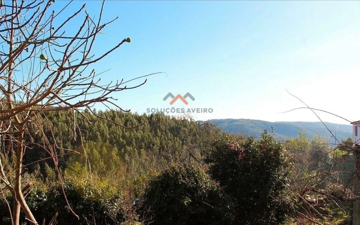 Moradia T1 para Venda em Talhadas Foto 8