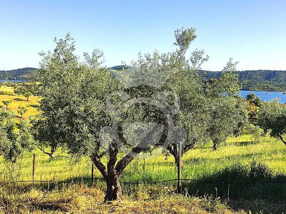 Terreno para Venda em Amieira e Alqueva Foto 1