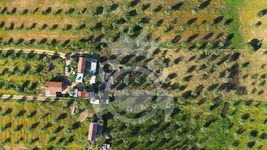 Terreno para Venda em Amieira e Alqueva Foto 8