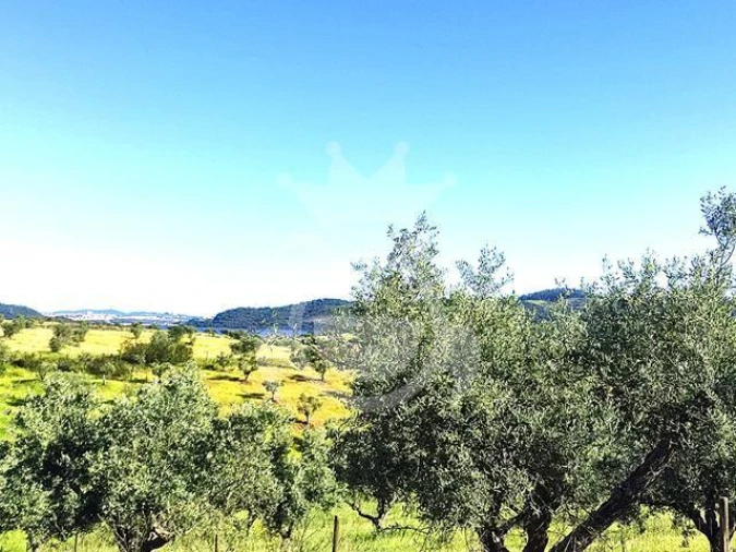 Terreno para Venda em Amieira e Alqueva Foto 2