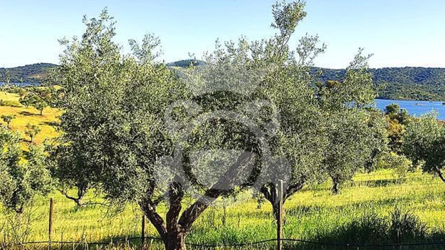 Terreno para Venda em Amieira e Alqueva