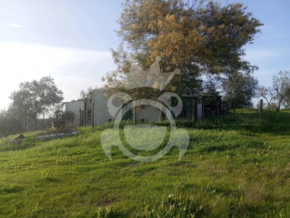 Terreno para Venda em Amieira e Alqueva Foto 4