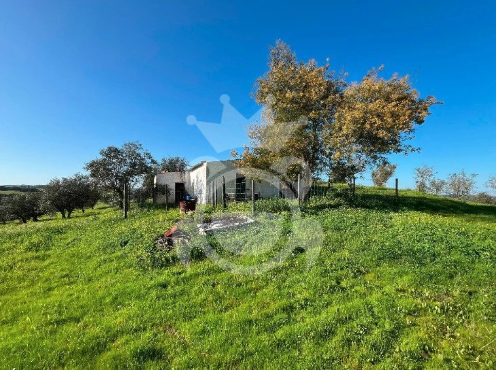 Terreno para Venda em Amieira e Alqueva Foto 1