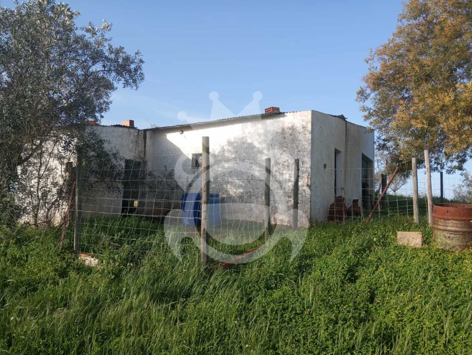 Terreno para Venda em Amieira e Alqueva Foto 5