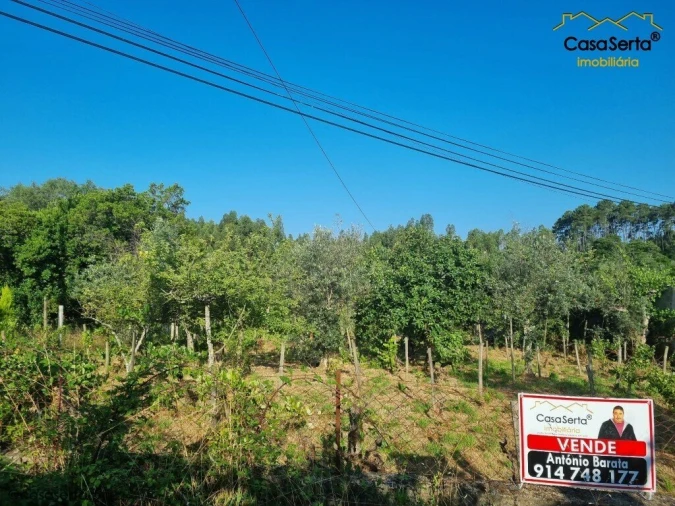 Moradia T2 para Venda em Sertã Foto 4