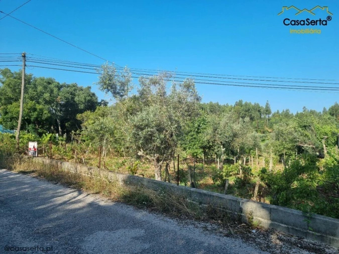 Moradia T2 para Venda em Sertã Foto 3