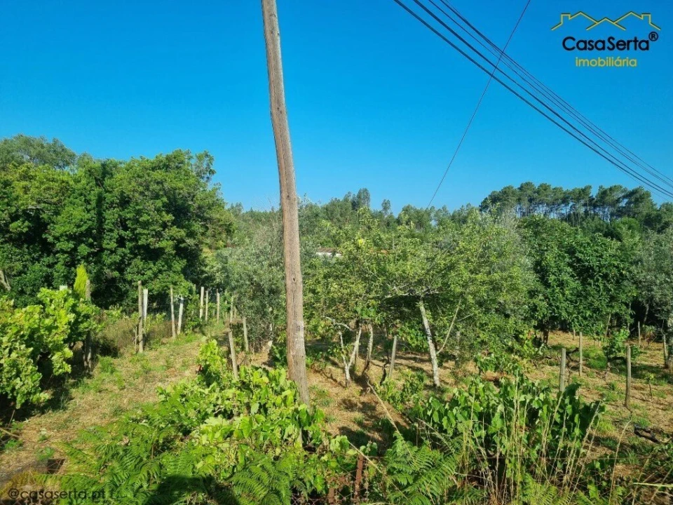 Moradia T2 para Venda em Sertã Foto 7