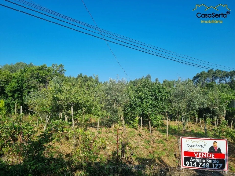 Moradia T2 para Venda em Sertã Foto 4