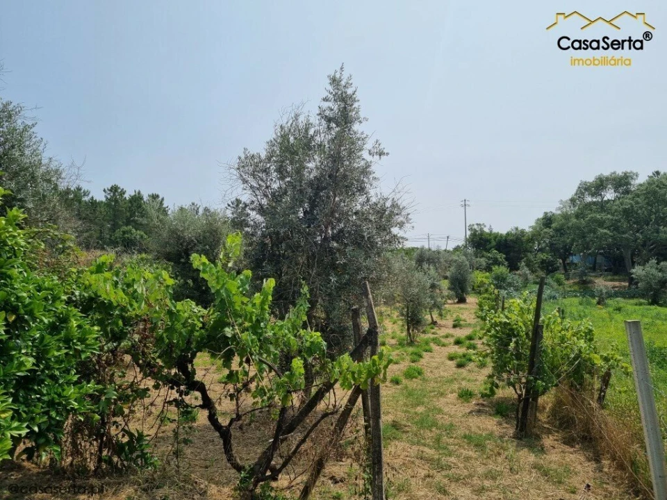 Moradia T2 para Venda em Sertã Foto 6