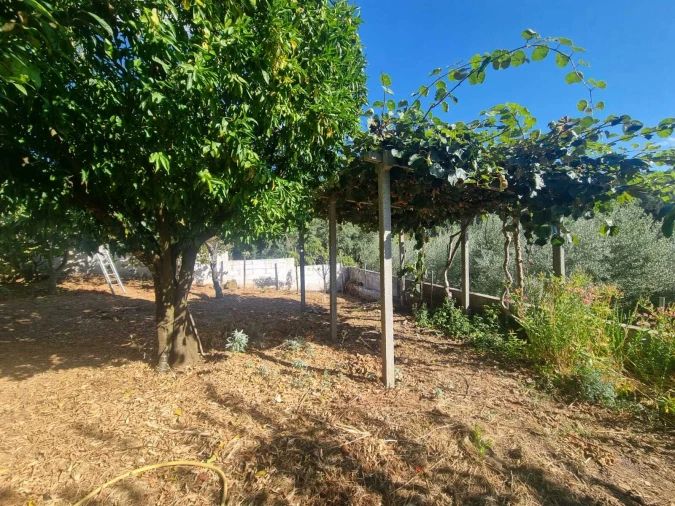 Moradia T2 para Venda em Pedrogão Pequeno Foto 18