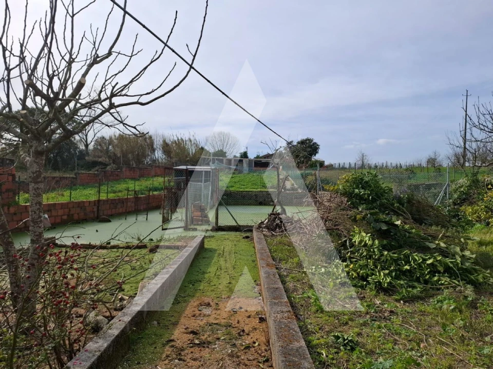 Moradia T3 para Venda em Oiã Foto 4