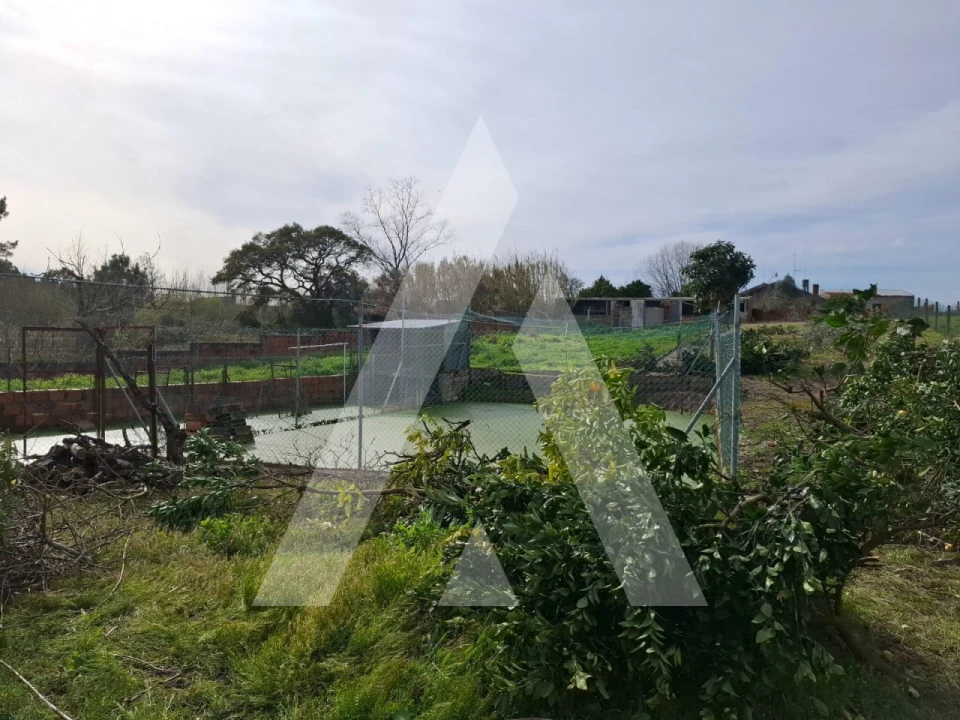 Moradia T3 para Venda em Oiã Foto 39