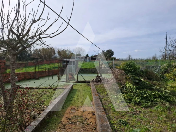 Moradia T3 para Venda em Oiã Foto 4