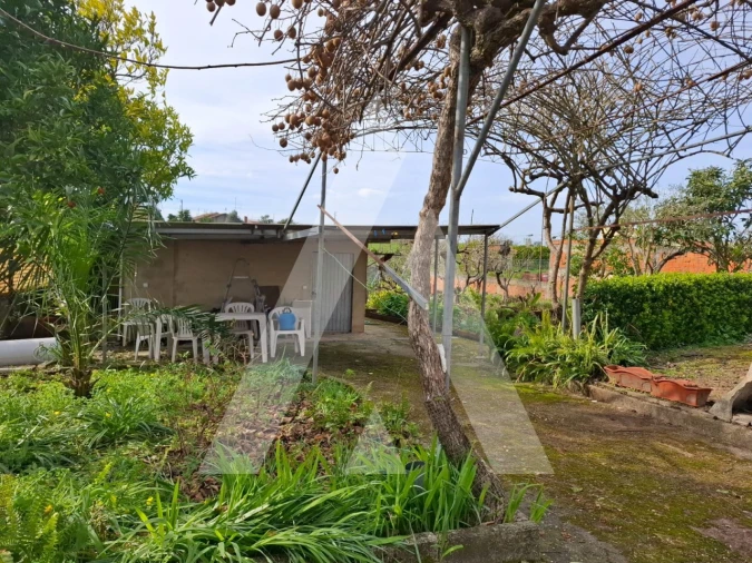 Moradia T3 para Venda em Oiã Foto 40