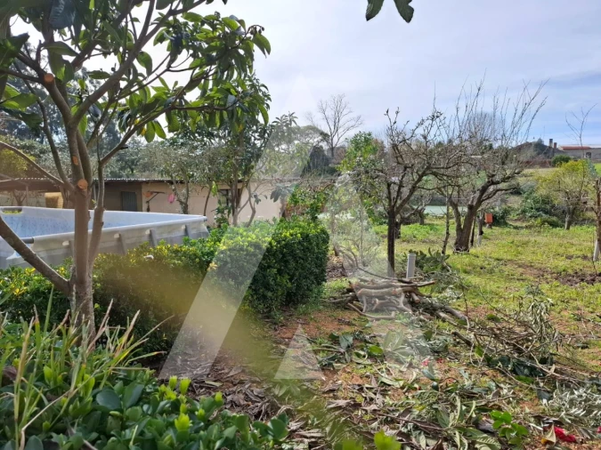 Moradia T3 para Venda em Oiã Foto 42