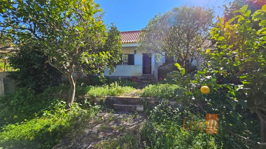 Moradia T2 para Venda em Maxial e Monte Redondo Foto 3