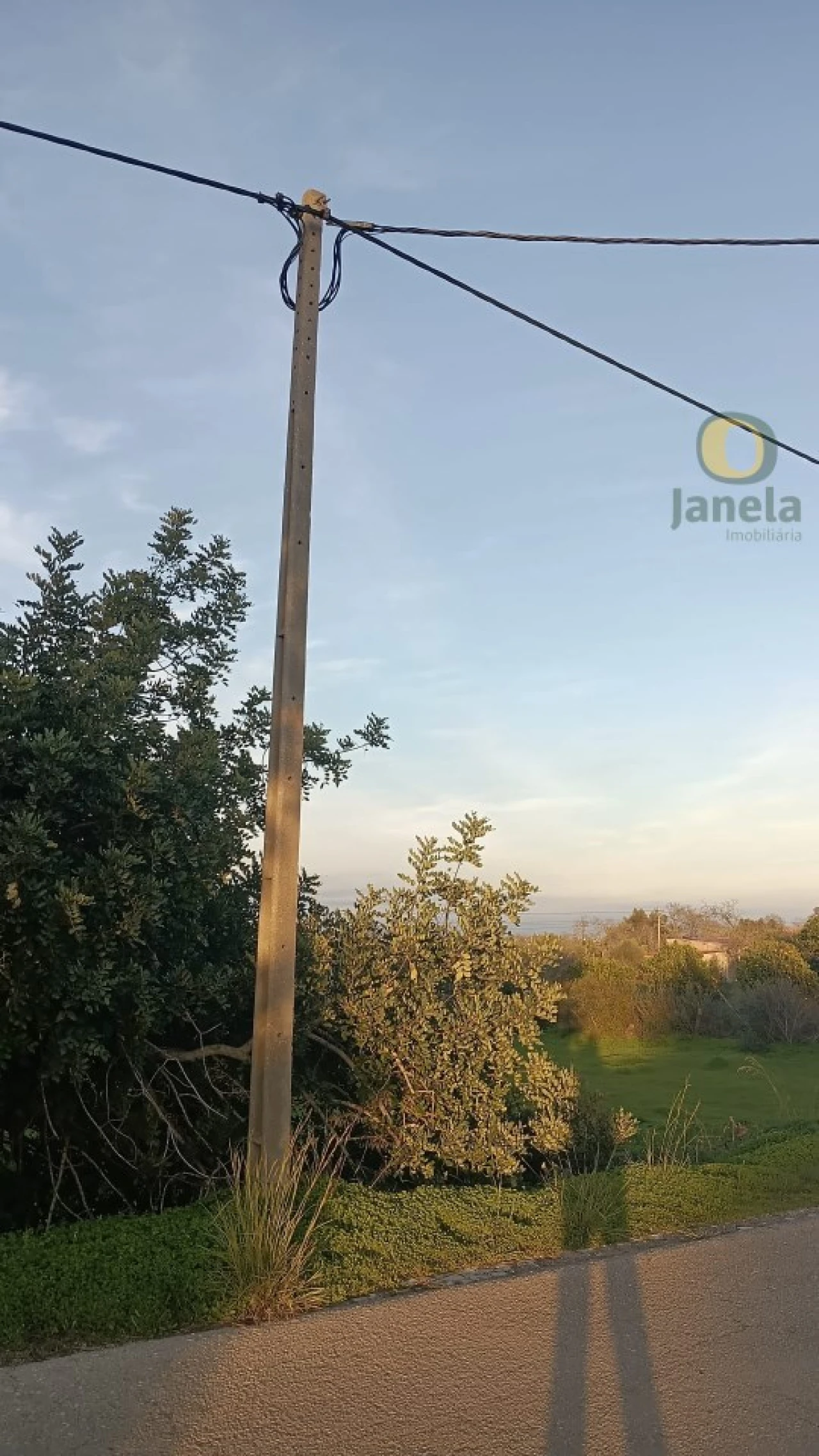 Terreno Agricola ou Rústico para Venda em Pechão Foto 4