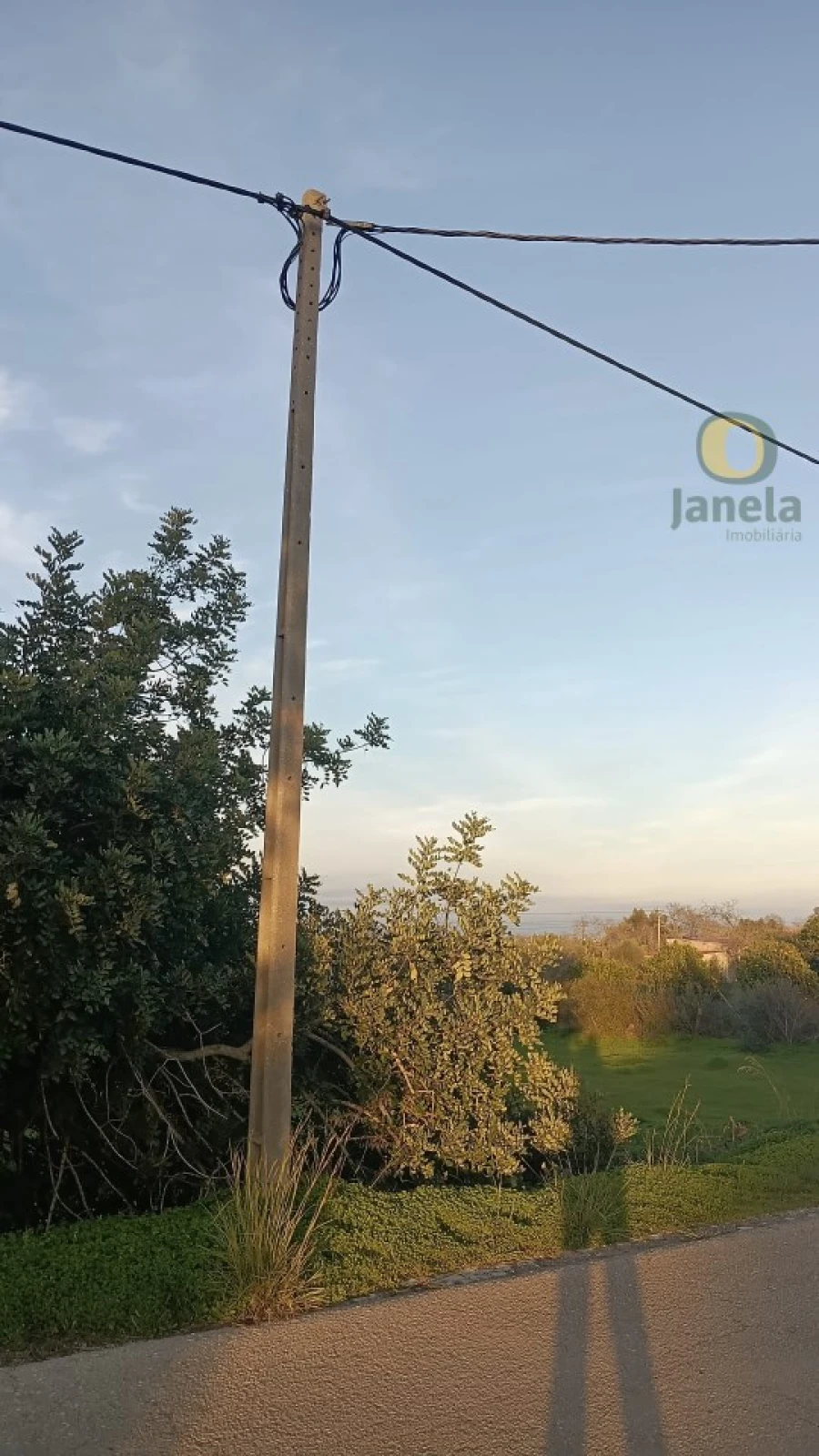 Terreno Agricola ou Rústico para Venda em Pechão Foto 4