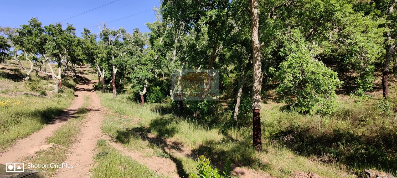 Terreno Agricola ou Rústico para Venda em São Francisco da Serra Foto 1