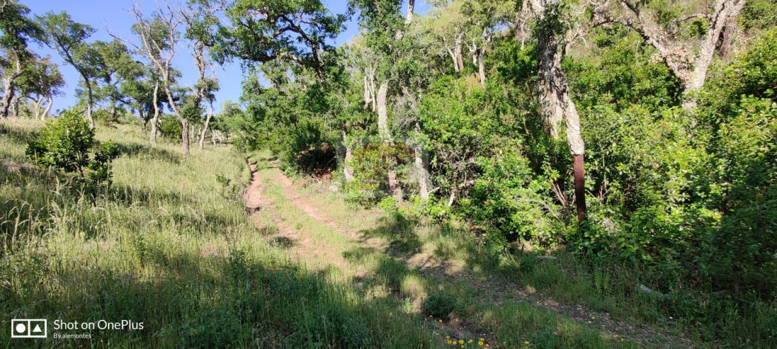 Terreno Agricola ou Rústico para Venda em São Francisco da Serra Foto 6