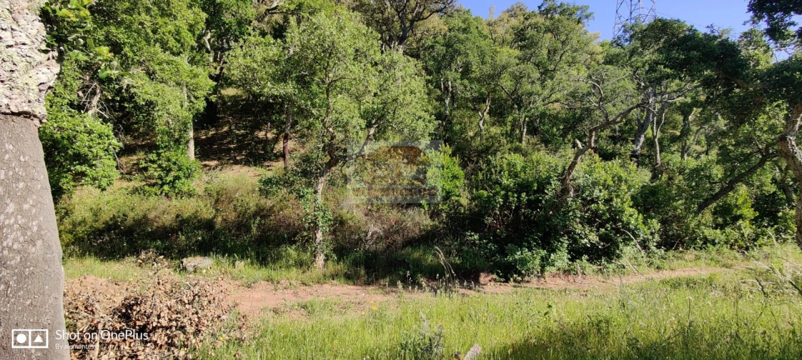 Terreno Agricola ou Rústico para Venda em São Francisco da Serra Foto 8