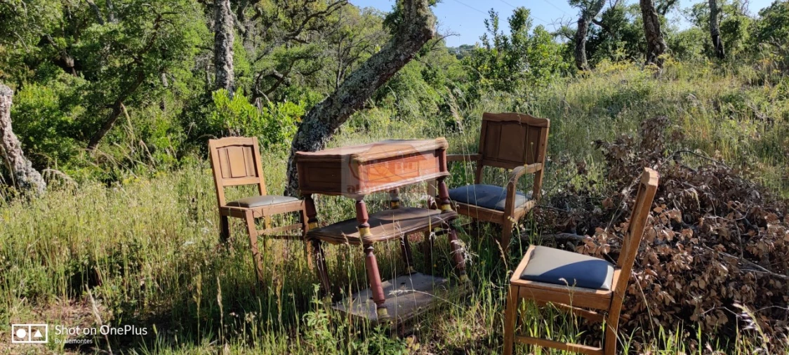Terreno Agricola ou Rústico para Venda em São Francisco da Serra Foto 9