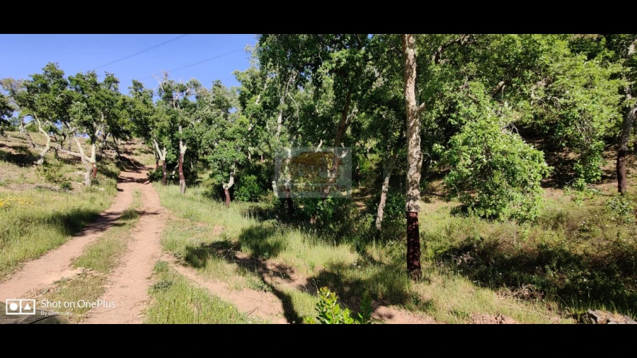 Terreno Agricola ou Rústico para Venda em São Francisco da Serra