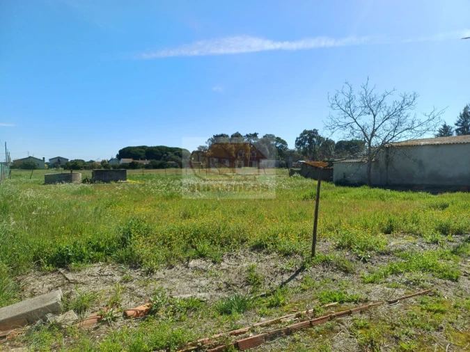 Quinta T4 para Venda em Grândola e Santa Margarida da Serra Foto 3