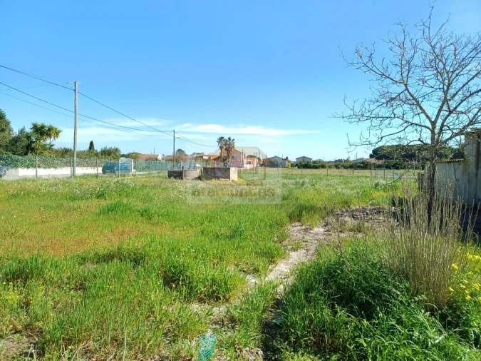 Quinta T4 para Venda em Grândola e Santa Margarida da Serra Foto 10
