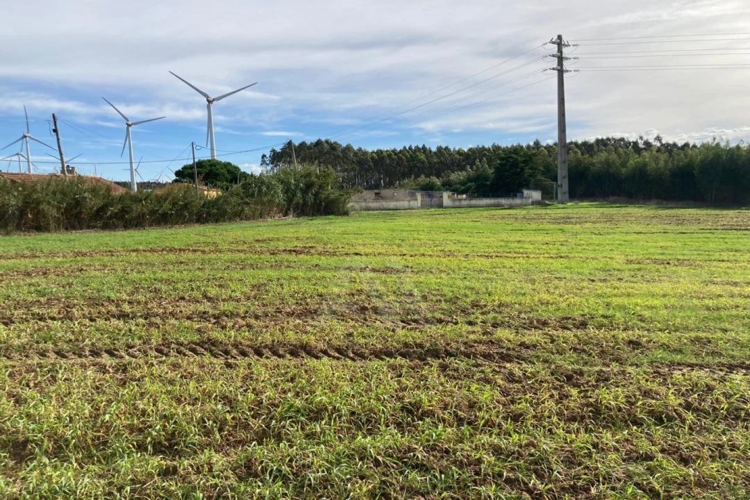 Terreno Agricola ou Rústico para Venda em São Bartolomeu dos Galegos e Moledo Foto 10