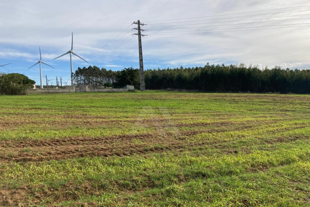 Terreno Agricola ou Rústico para Venda em São Bartolomeu dos Galegos e Moledo Foto 7