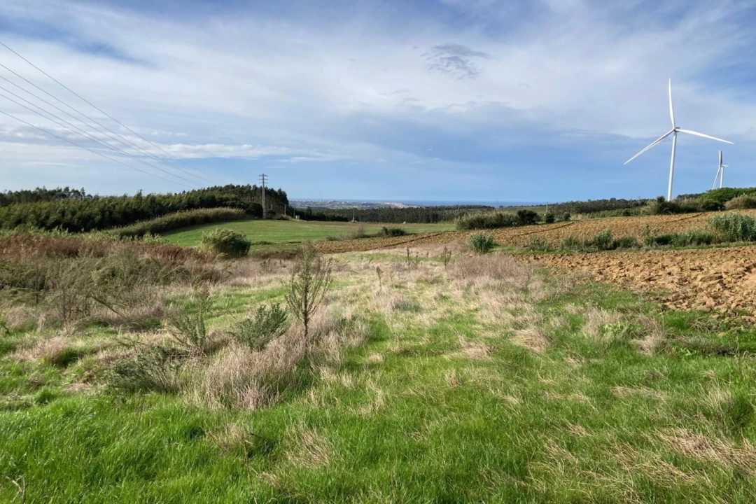 Terreno Agricola ou Rústico para Venda em São Bartolomeu dos Galegos e Moledo Foto 12
