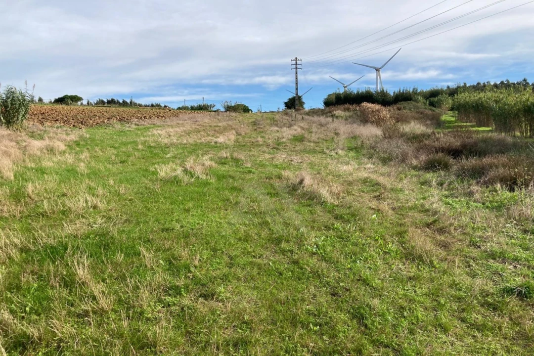 Terreno Agricola ou Rústico para Venda em São Bartolomeu dos Galegos e Moledo Foto 13