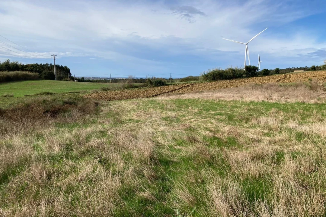 Terreno Agricola ou Rústico para Venda em São Bartolomeu dos Galegos e Moledo Foto 14