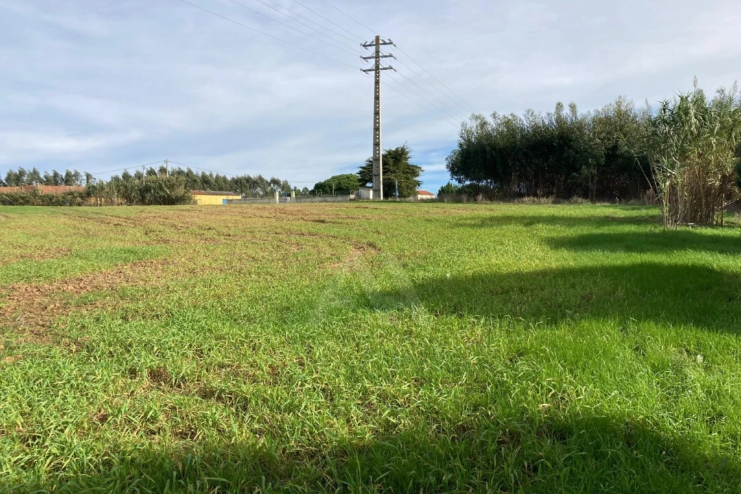 Terreno Agricola ou Rústico para Venda em São Bartolomeu dos Galegos e Moledo Foto 6