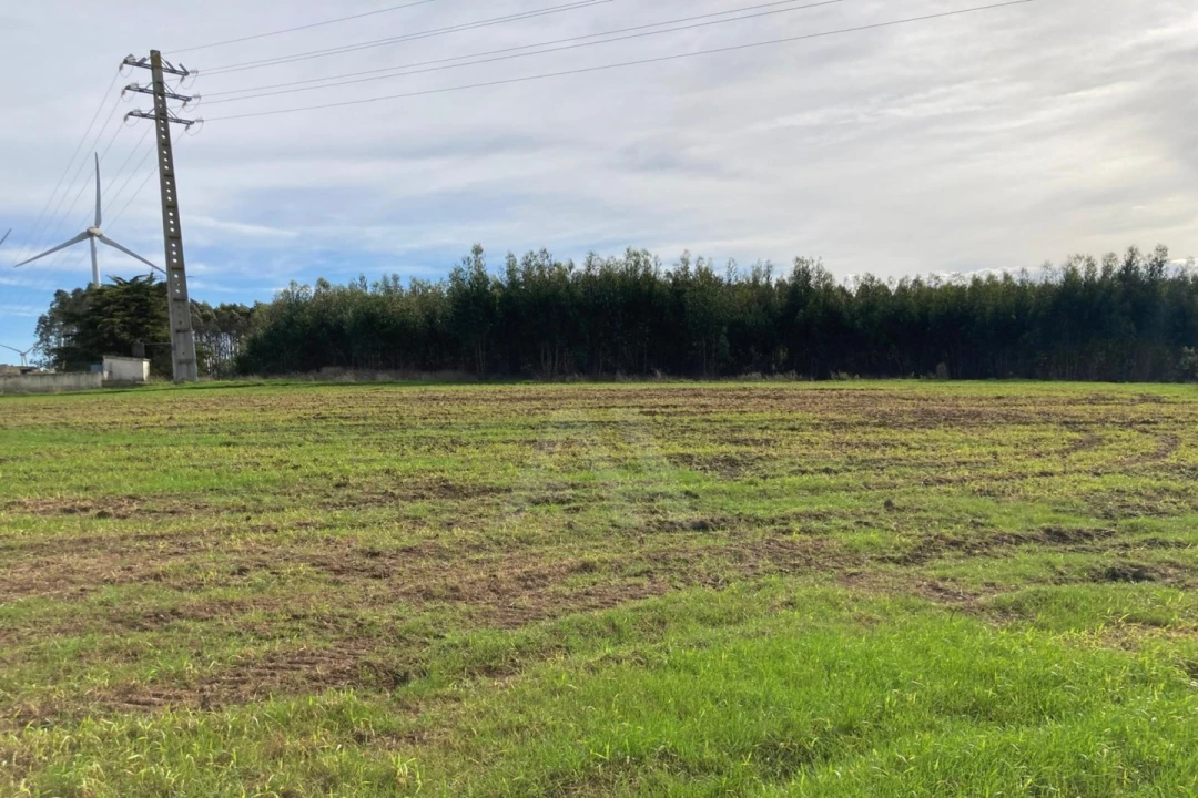 Terreno Agricola ou Rústico para Venda em São Bartolomeu dos Galegos e Moledo Foto 15