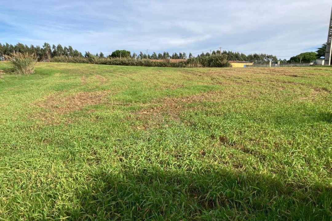 Terreno Agricola ou Rústico para Venda em São Bartolomeu dos Galegos e Moledo Foto 8