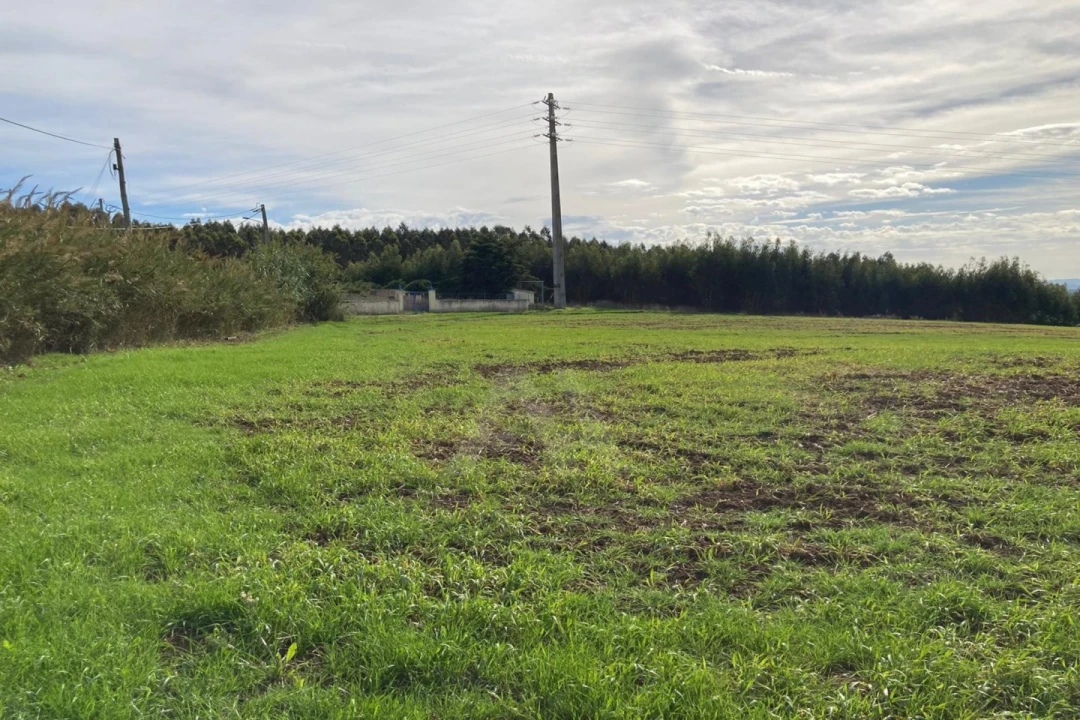 Terreno Agricola ou Rústico para Venda em São Bartolomeu dos Galegos e Moledo Foto 2