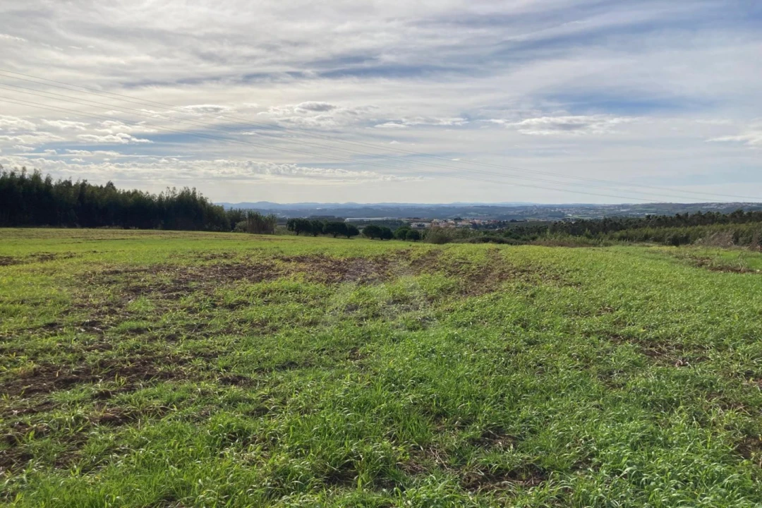 Terreno Agricola ou Rústico para Venda em São Bartolomeu dos Galegos e Moledo Foto 19