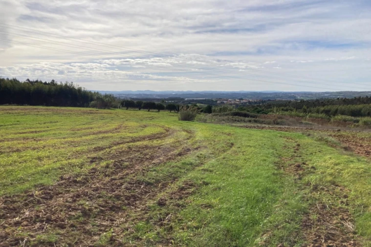 Terreno Agricola ou Rústico para Venda em São Bartolomeu dos Galegos e Moledo Foto 4