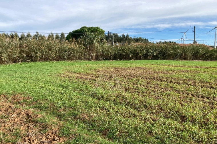 Terreno Agricola ou Rústico para Venda em São Bartolomeu dos Galegos e Moledo Foto 5
