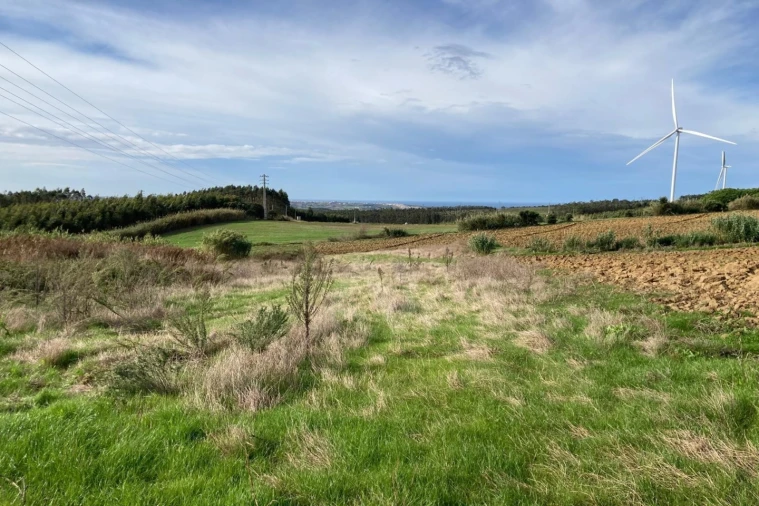 Terreno Agricola ou Rústico para Venda em São Bartolomeu dos Galegos e Moledo Foto 12