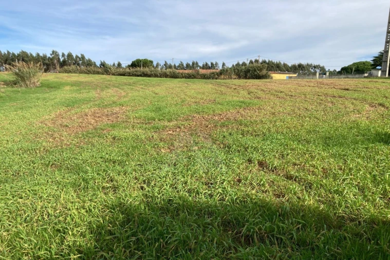 Terreno Agricola ou Rústico para Venda em São Bartolomeu dos Galegos e Moledo Foto 8