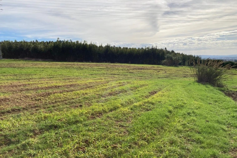 Terreno Agricola ou Rústico para Venda em São Bartolomeu dos Galegos e Moledo Foto 16