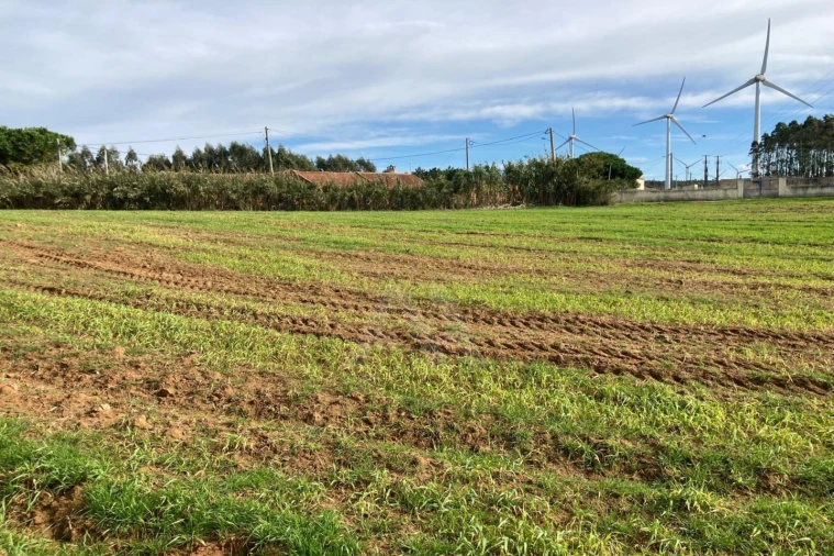 Terreno Agricola ou Rústico para Venda em São Bartolomeu dos Galegos e Moledo Foto 9