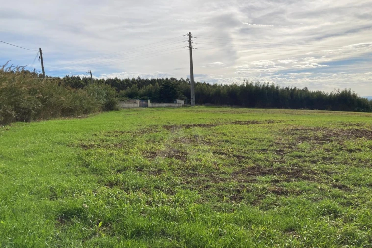Terreno Agricola ou Rústico para Venda em São Bartolomeu dos Galegos e Moledo Foto 2