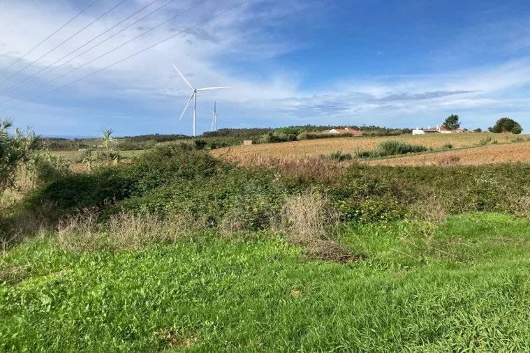 Terreno Agricola ou Rústico para Venda em São Bartolomeu dos Galegos e Moledo Foto 18
